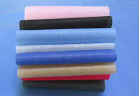 西山涤纶（PET）无纺布是什么